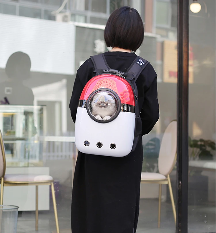 cat astronaut backpack