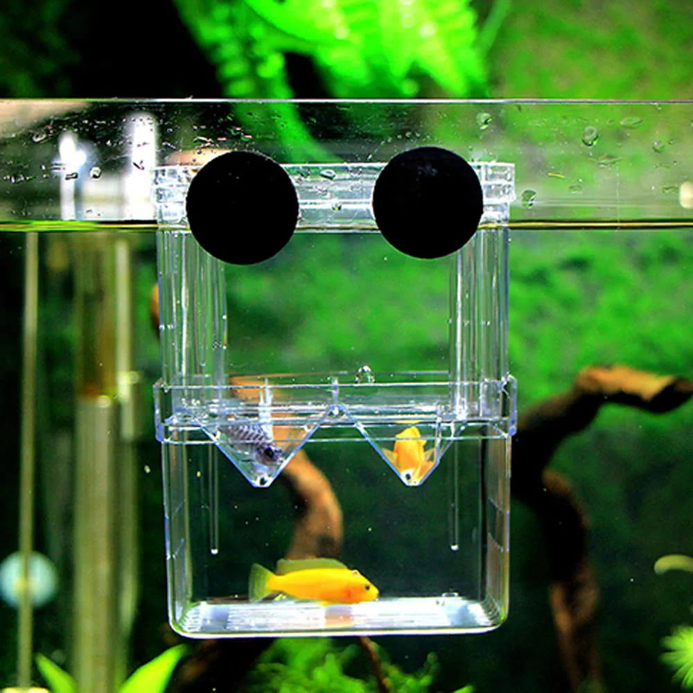 Multifunction Size L High Clear Fish Breeding Box Aquarium Breeder Double Guppies Hatching Incubator Isolation(New Acrylic) | Дом и сад