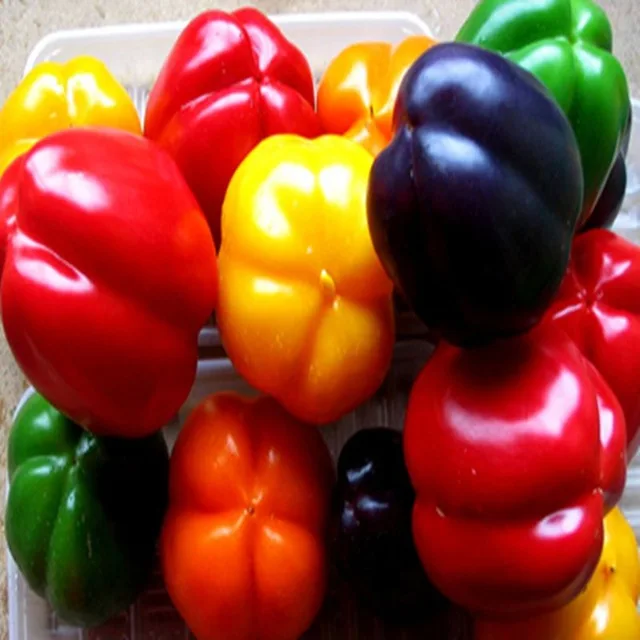 50000 pz Organico NON OGM Heirloom Peperoncino Paprika Pepe Bonsais Piante Verdu 50000 pz Organico NON OGM Heirloom Peperoncino Paprika Pepe Bonsais Piante Verdu