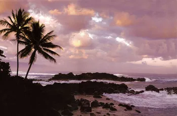 

1 Panel Modern art painting about The seaside scenery oil painting on canvas modular picture for sitting room RZD03962