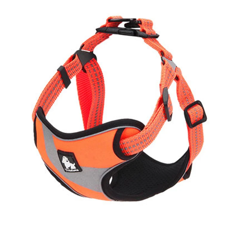 puppy collar set (2)