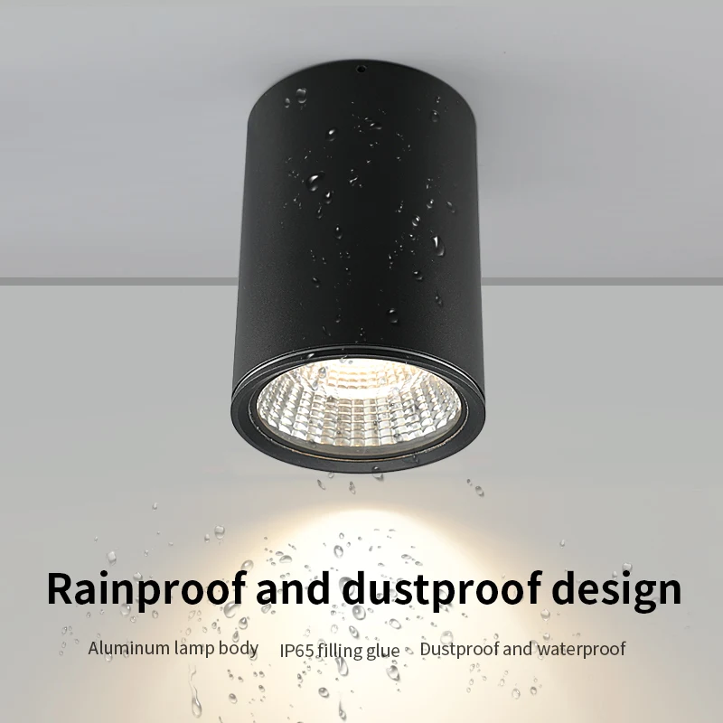 Puluoti поверхностного монтажа Водонепроницаемый и пыленепроницаемый светодиодный прожектор