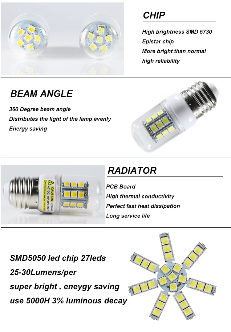 12 volt led bulb light (5)