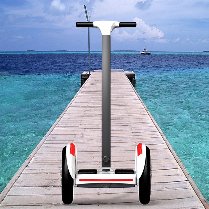 

new hot sell two big wheel E balance