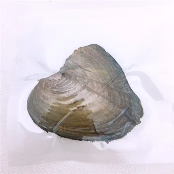 

Freshwater Vacuum-pack Oyster Wish Pearls, Pearl Mussel Shell with 7-8 mm Oval Rice Pearl Inside,Random color pearl