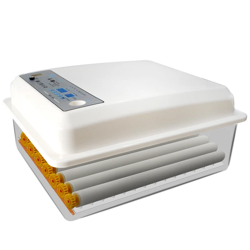 

Full-automatic Small Household Water Bed Incubator Peacock Duck Goose Egg Incubator Quail Chicken incubadora couveuse