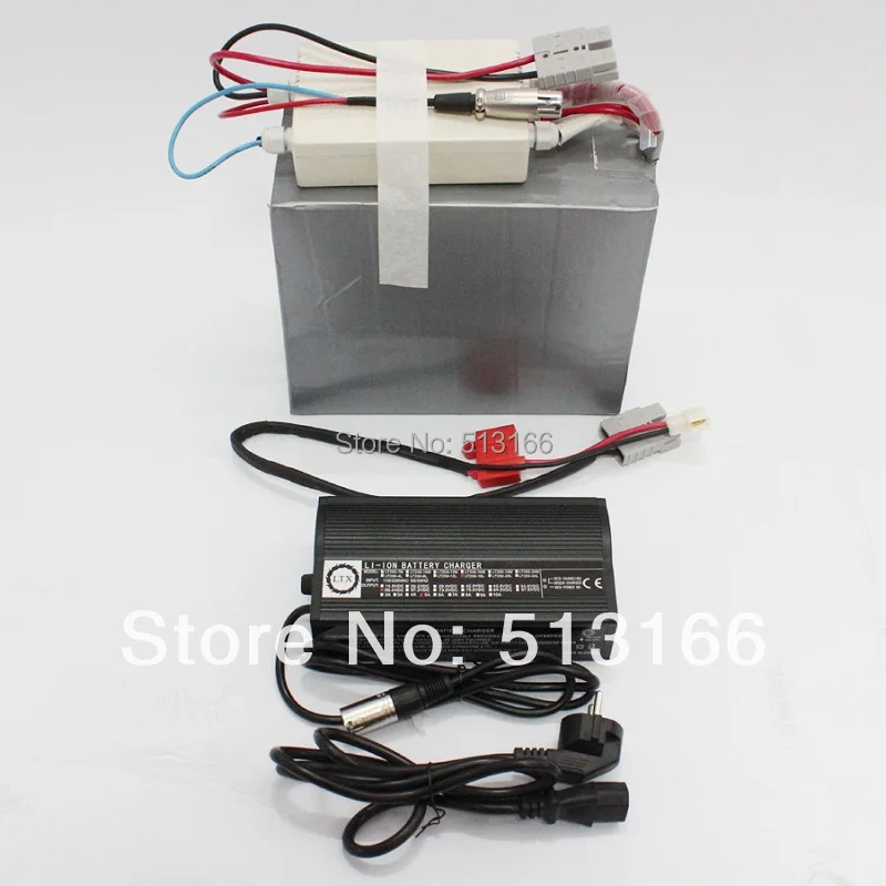 Best Selling  24V 20AH LifePO4 Battery with Free BMS And 5A Fast Charger For Ebike, Electric Bike, Bicycle, Scotter