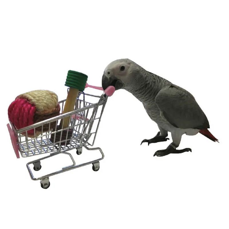 aliexpress com buy 1pcs stainless steel bird toys aliexpress com buy 1pcs stainless steel bird toys