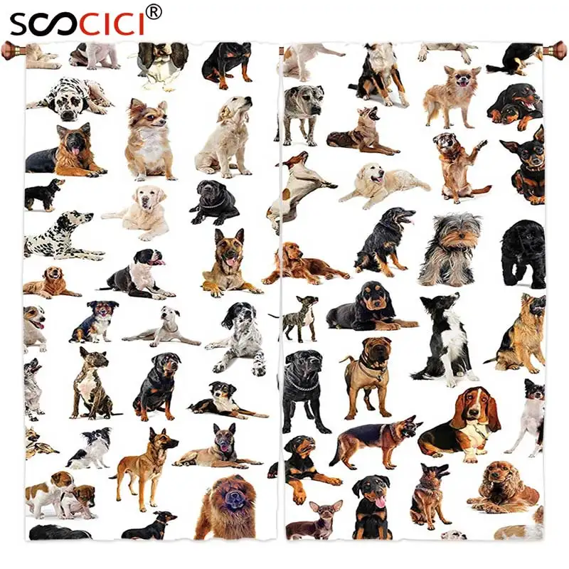 

Window Curtains Treatments 2 Panels,Dog Lover Decor Collection Picture with Purebred Dogs Australian Sheepdog Belgian