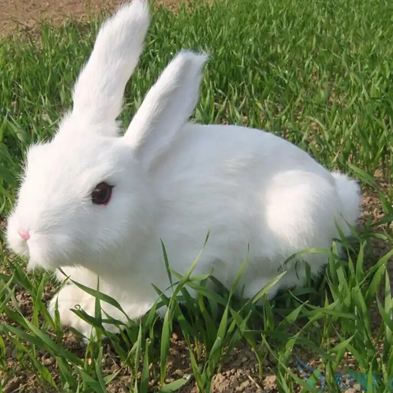 realistic plush rabbit