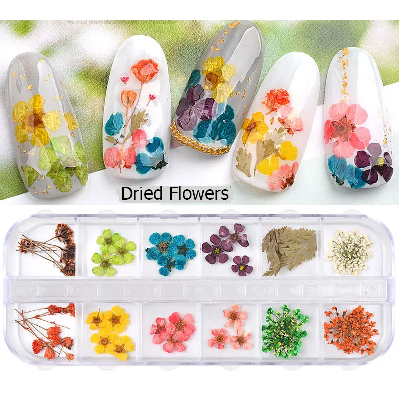12 цветов 3d натуральный ромашка высушенный цветок для ногтей художественное украшение Гипсофилы консервированный сухой цветок DIY маникюр-наклейки для ногтей аксессуары