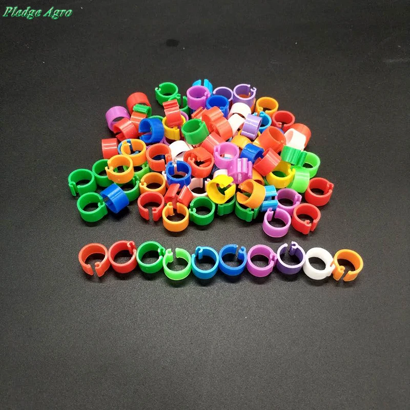 

100pcs Racing Pigeon rings 2019 belg 8mm bird clip ring parrot pigeons marking identification race birds track management sale