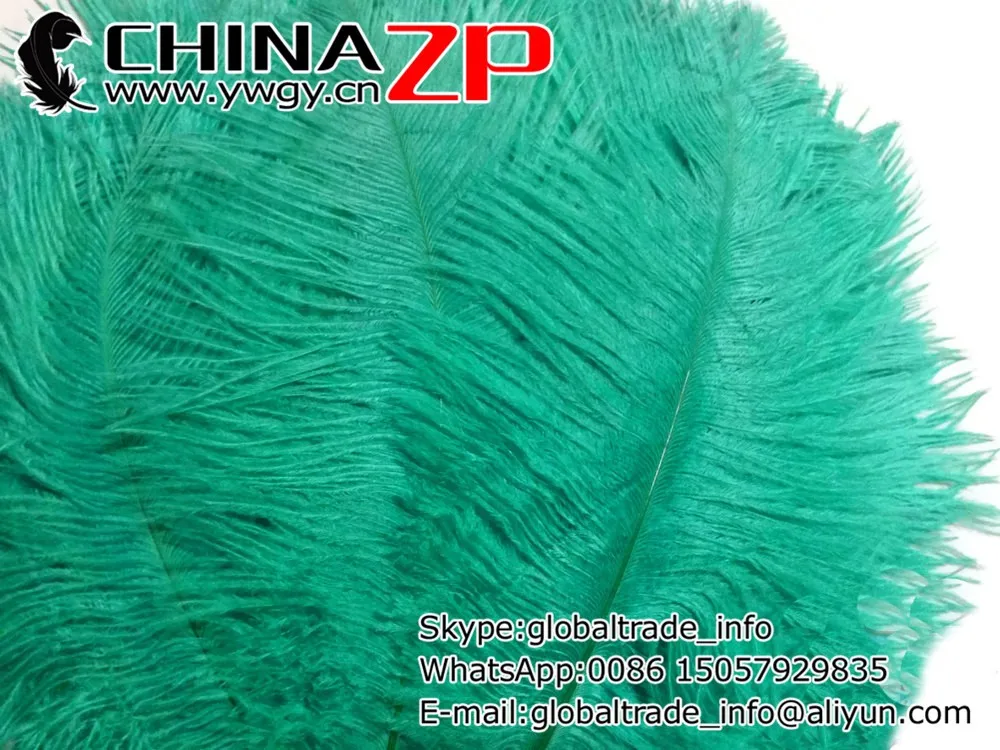 USA Ostrich Suppliers, 10 Pieces - 6-8 AQUA GREEN Ostrich Dyed Drabs Feathers