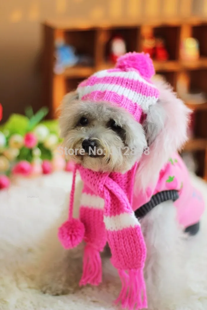 Winter Accessory Set For Dog - Knitted Hat, Scarf, And 4 Socks