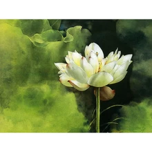Lotus on the lake.40x50cm, картина по номерам, DIY, настенное искусство, украшение гостиной, пейзаж, фигура, животное, цветок, мультфильм