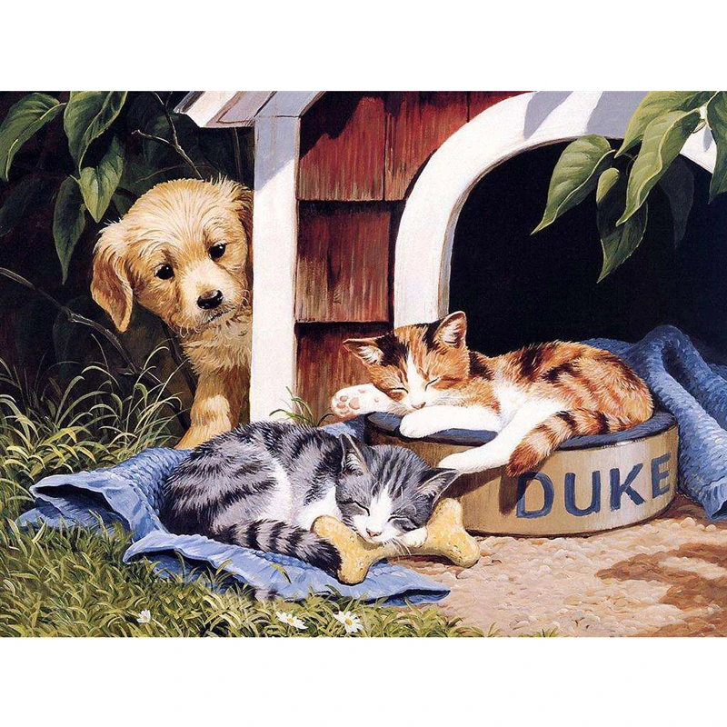 Сюжет про кота. Сюжет про кота. Сюжет про кота. Художник энн мортимер. Котик в бане.