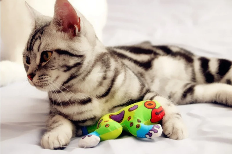 [MPK Store] Игрушка-лягушка, Толстая Зеленая лягушка игрушка для кошек, игрушка-котенок