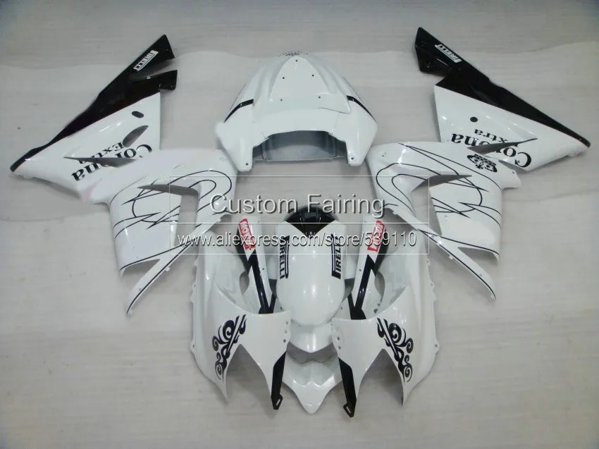 ZX10R-04-181
