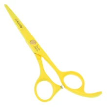5 5 Professional Hair Scissors Hairdressing Hair Cutting Scissors Salon Hair Shears Barber Razor LZS0344