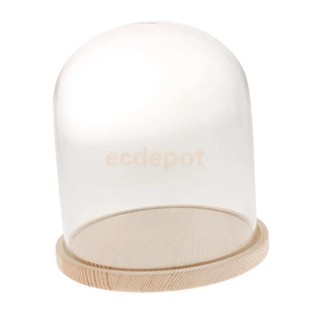 MagiDeal Borosilicate Heat-resistant Glass Display Glass Cover Flower Cloche Jar Dome with Wood Base Centerpieces Decoration 