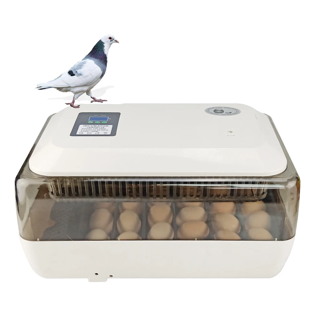 

DULONG 24 Eggs automatic electric chicken hatching machine household egg-turning duck chicken turtle incubator