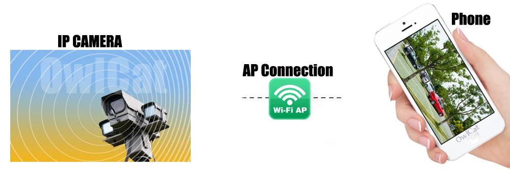 AP