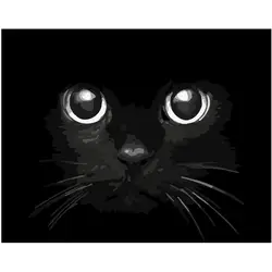 Картина по номерам DIY дропшиппинг 40x50 50x65 см ужасающая черная голова кота животное холст свадебное украшение искусство картина подарок
