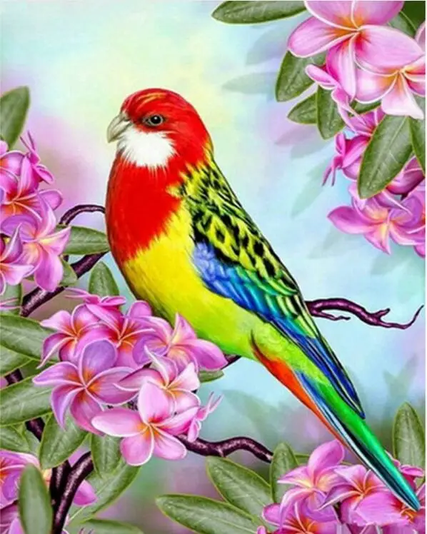 QQ20190416215656