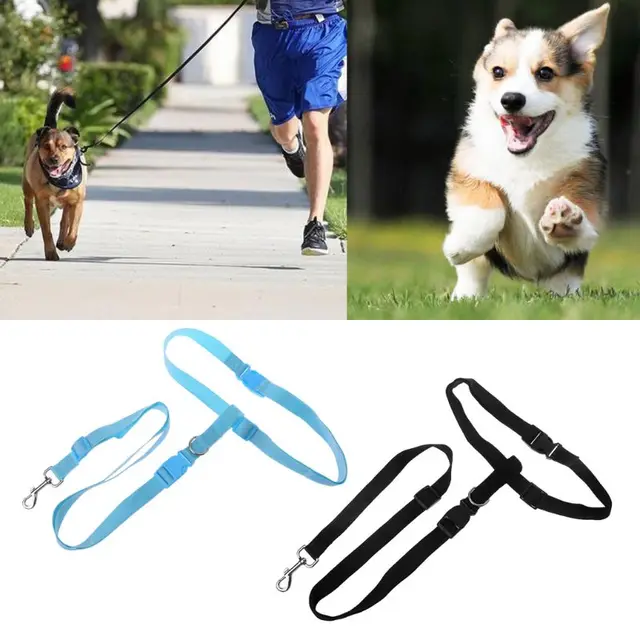 pet adjustable belt hand free dog walking lead leash waist belt in free dog sitter