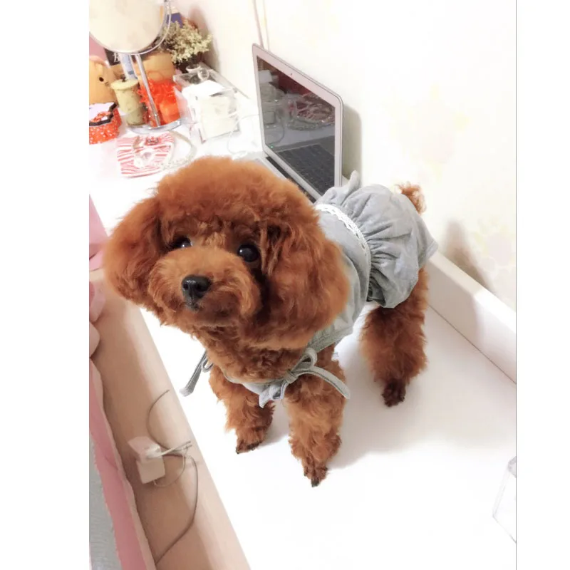 Dog Physiological Pants Dog Shorts S-XL Pet Puppy Cat Washable Female Diaper Sanitary Jumpsuit Underwear Brief Puppy Product
