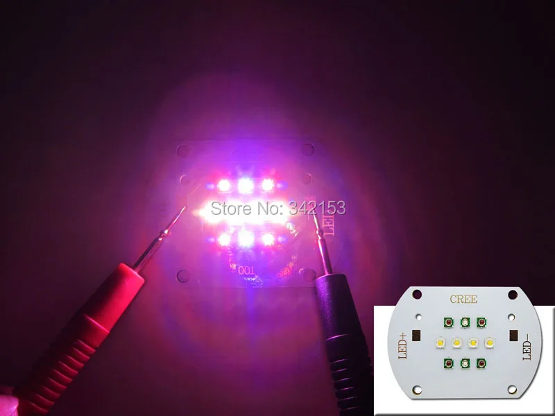 30W XPE2 (5)