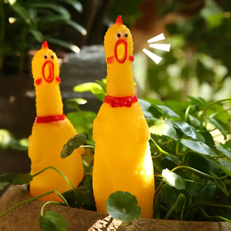 Zocdou noise makers pequeno 17cm grito frango chook galinha galo ruído som chamada galo corvo alarme festa de aniversário presente