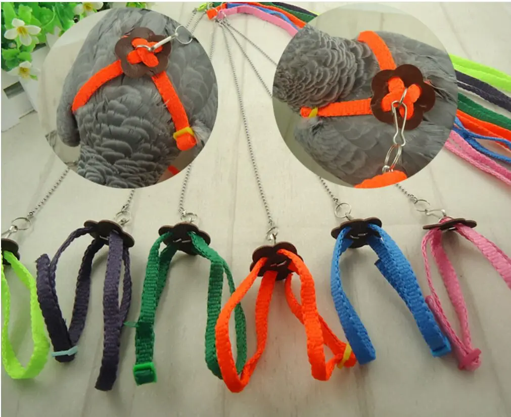 

Pet Bird Harness and Leash, Adjustable Bird Flight Rope for Ringneck Parrot African Greys Budgies ParakeetTraing and Playing