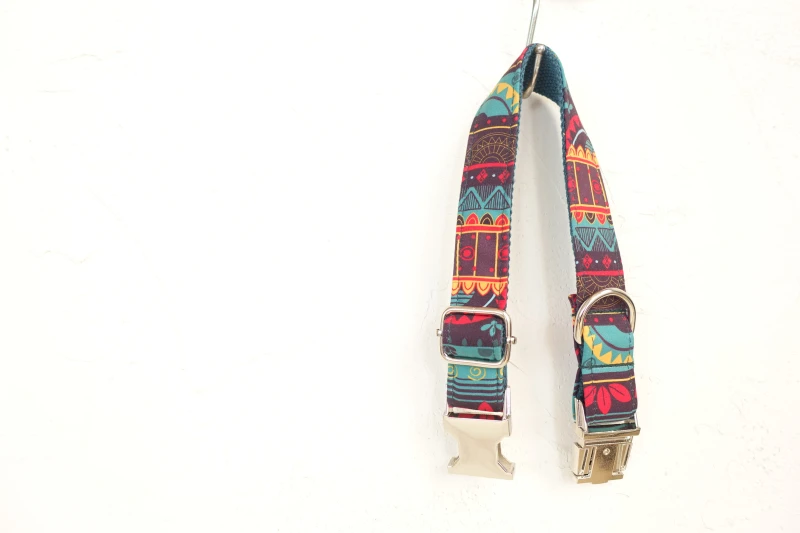 Designer Dog Collars(1)
