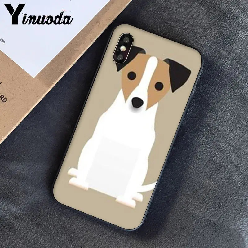 Jack Russell Terrier Dog