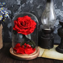 Новинка, красивая и чудовищная Роза в стеклянном куполе, светодиодный светильник, украшение для дома на День святого Валентина, рождественские подарки