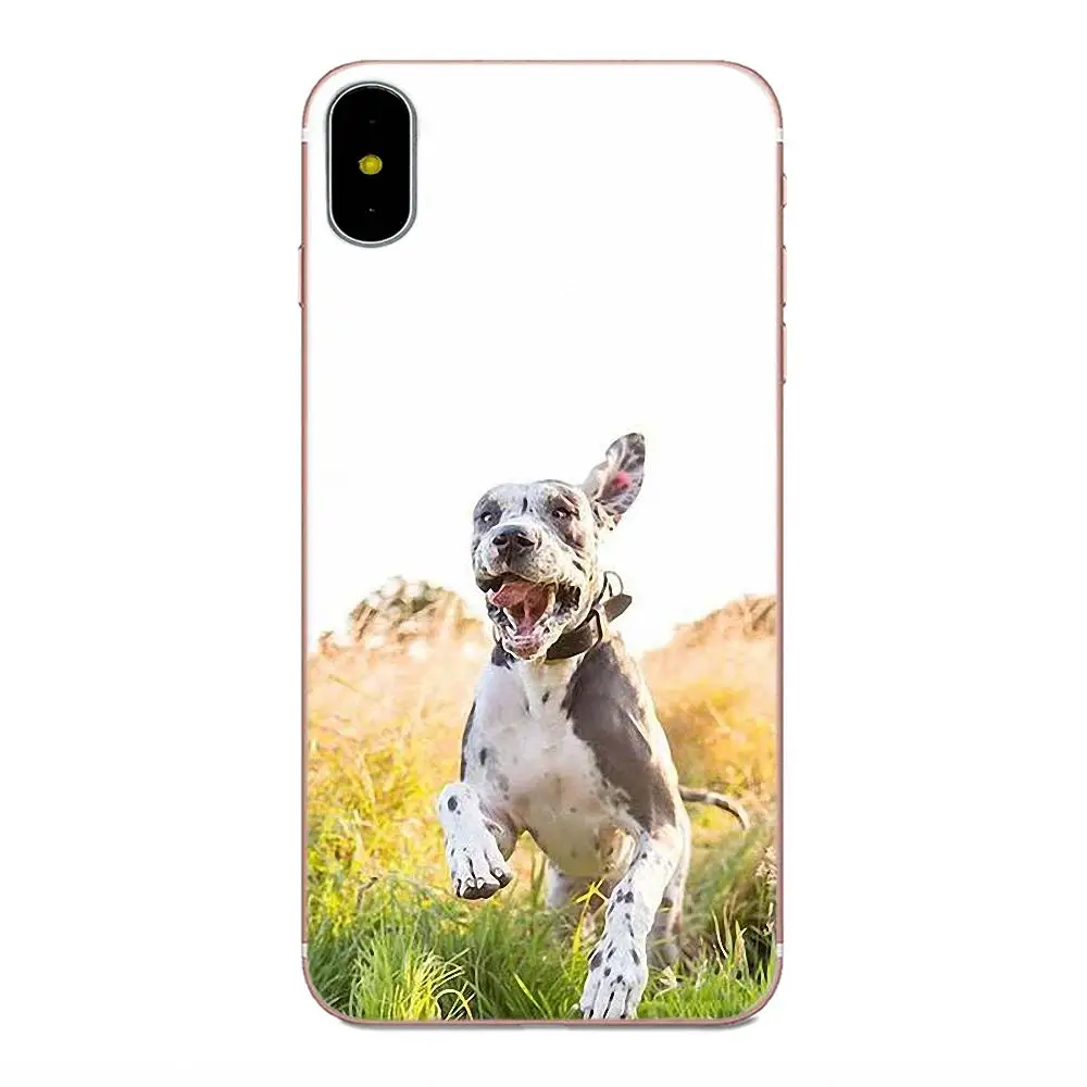 Мягкий резиновый чехол для телефона Samoyed Pomeranian dog Для Xiaomi Note 3 4 Mi3 Mi4 Mi4C Mi4i Mi5 Mi 5S 5X 6 6X