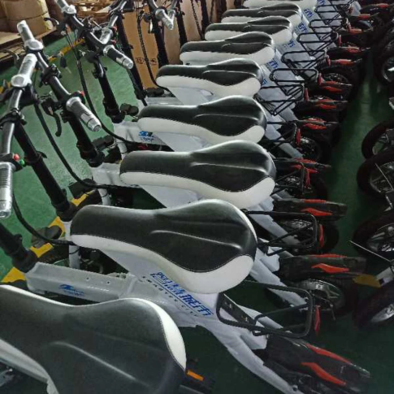 Sale Foldable Electric Bike 36V 350w 8AH 12inch Cycle Lithium Battery Electric Bicycle Front and Back Disc Brake Ebike 3
