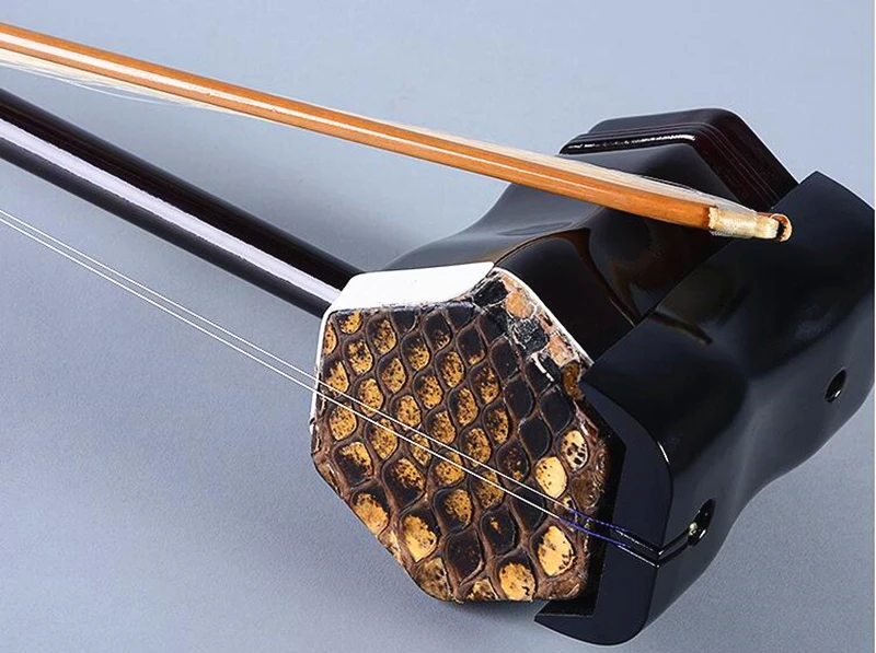 Chinese Huqin Erhu 01A1 Stringed Musical Instruments with Erhu accessories Bow Strings Book Video case Factory sale