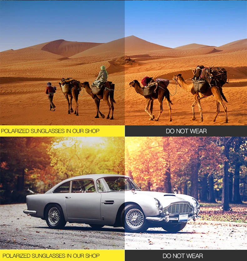 2019-new-sunglasses-men-women_04