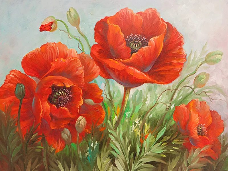 Redpoppies