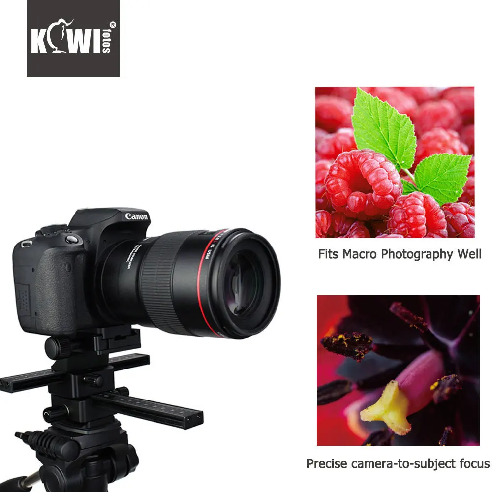 الكيوي كاميرا الفيديو 4 طريقة ماكرو التركيز التركيز السكك الحديدية المنزلق ثابت Steadicam DSLR الفيديو المثبت لكانون/نيكون/ سوني/فوجي الكيوي كاميرا الفيديو 4 طريقة ماكرو التركيز التركيز السكك الحديدية المنزلق ثابت Steadicam DSLR الفيديو المثبت لكانون/نيكون/ سوني/فوجي