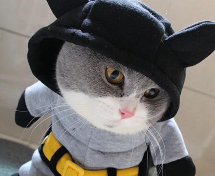 [Магазин MPK] Новое поступление, костюм кошки с мышечной летучей мышью, доступно 5 размеров