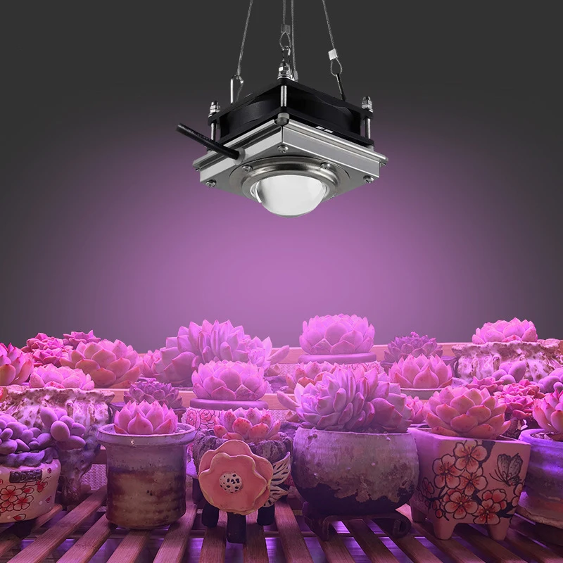3000W 144 LED COB Grow Light Bulb Full Spectrum Growth Lamp Hydroponic Plant 