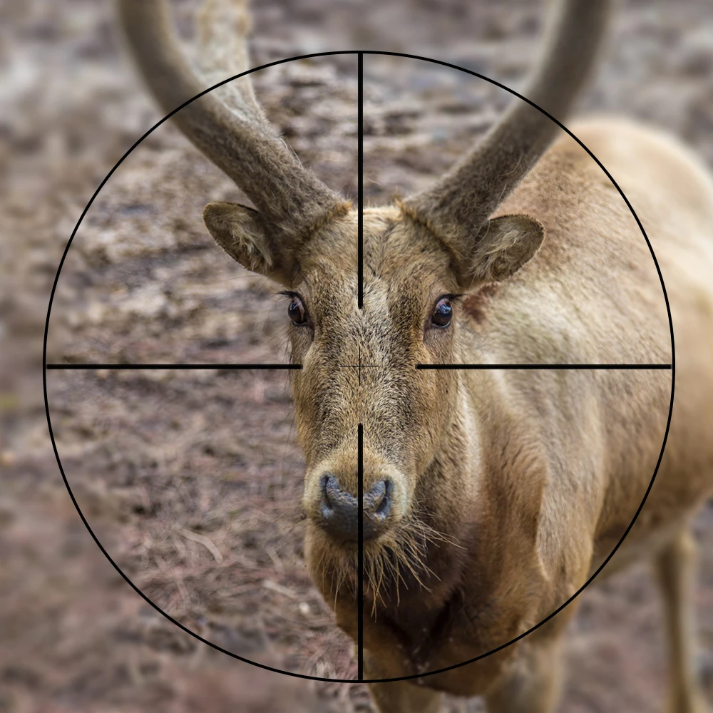 4x32 التكتيكية بندقية Riflescope واحد أنبوب الزجاج مزدوجة التقاطع شبكاني الصيد نطاقات نظارة Tactique بندقية نطاق الادسنس بندقية