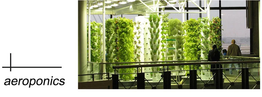 HTB1PY8WSVXXXXaoXXXXq6xXFXXXe