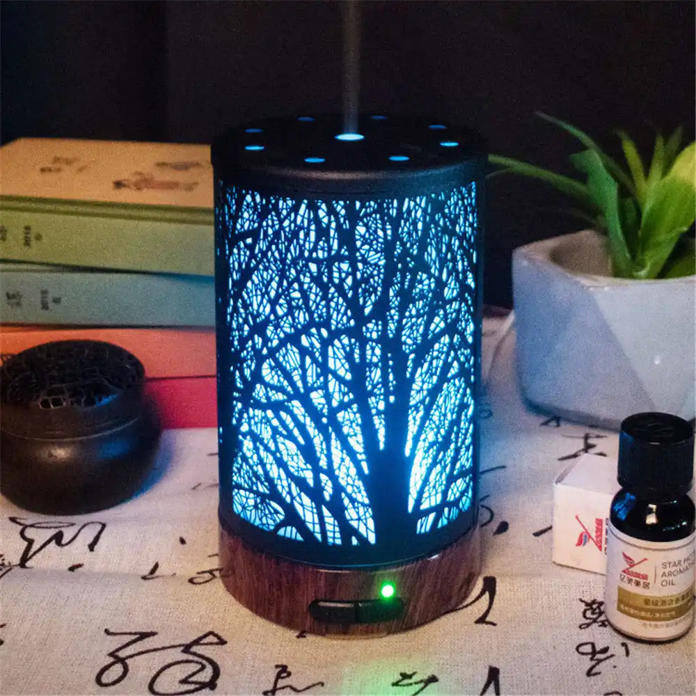 Metal Essential Oil Diffuser 100ml Aroma Diffuser Ultrasonic Aromatherapy Humidifier Cool Mist Maker For Home Office Escritori Humidifiers Aliexpress