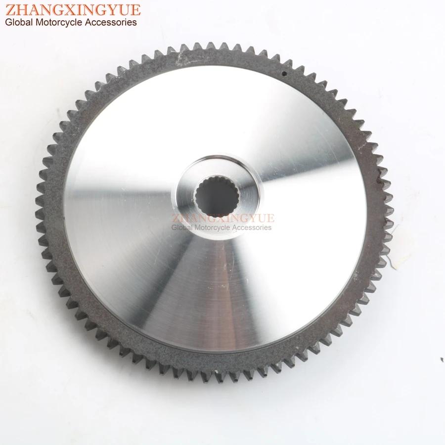 zhang1137