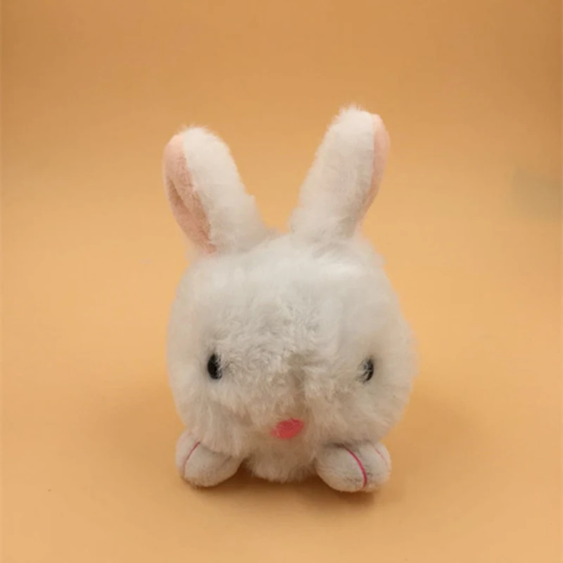 rabbit (8)