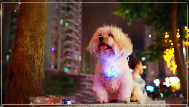 Pet Cat Dog LED Pendant Light Safety Product Color Random Send